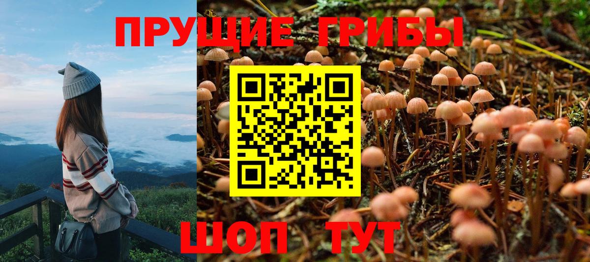 Псилоцибиновые грибы мухоморы  Галлюциногенные грибы ЛСД  Аргун  Вход с VPN 